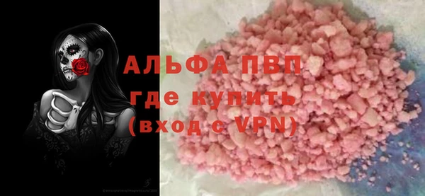 шишки Белокуриха