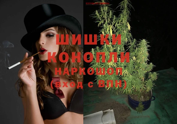шишки Белокуриха