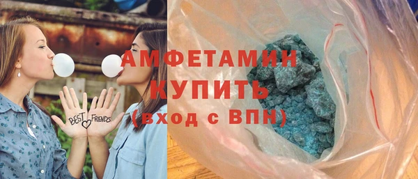 шишки Белокуриха